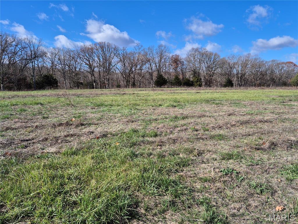 0 Logan School Rd. (15.2+/- Acres), New Florence MO