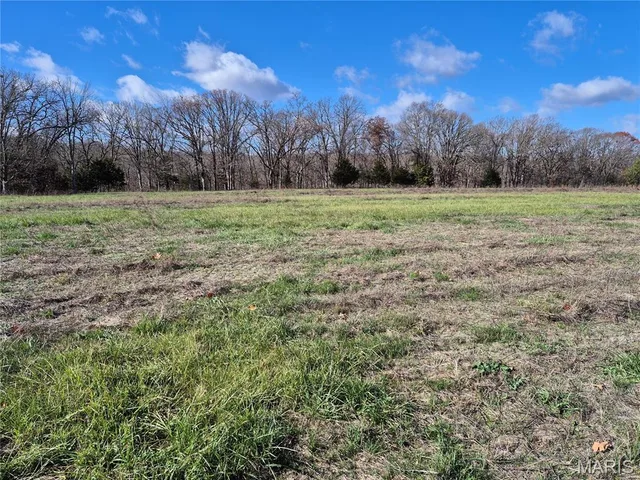 0 Logan School Rd. (15.2+/- Acres), New Florence MO