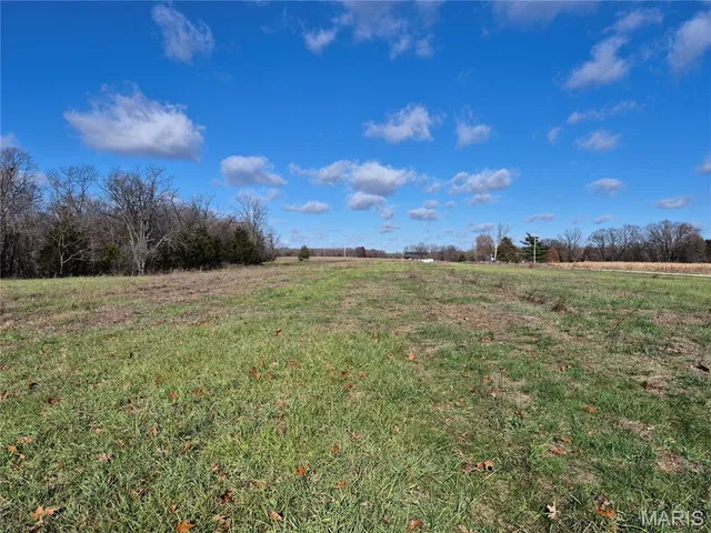Front exterior — 0 Logan School Rd. (15.2+/- Acres) New Florence Missouri real estate