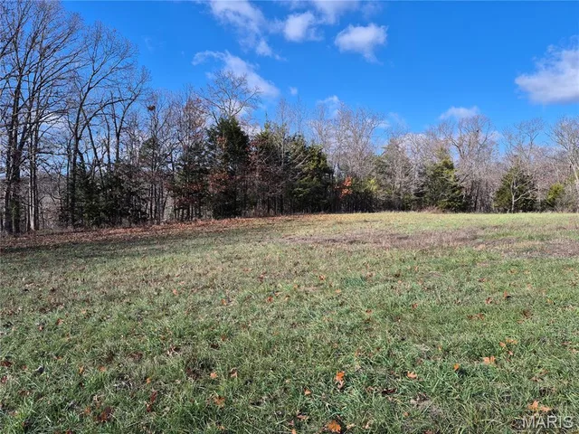 Living room — 0 Logan School Rd. (15.2+/- Acres) New Florence Missouri real estate