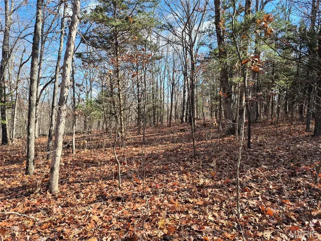 Kitchen — 0 Logan School Rd. (15.2+/- Acres) New Florence Missouri real estate