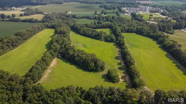 43 +/- Acres Cuivre Point Rd., Moscow Mills MO real estate