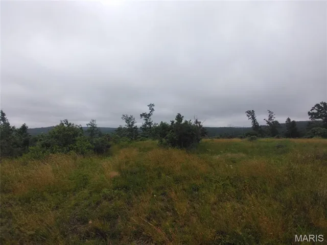 10 Tract 10 Off Hwy O, Belleview MO