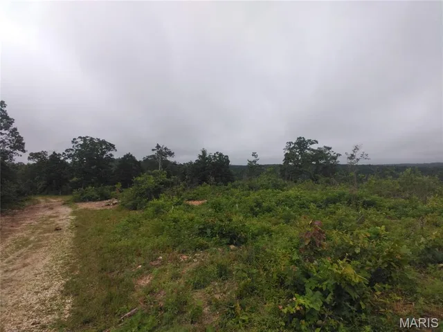 Primary bedroom — 10 Tract 10 Off Hwy O Belleview Missouri real estate