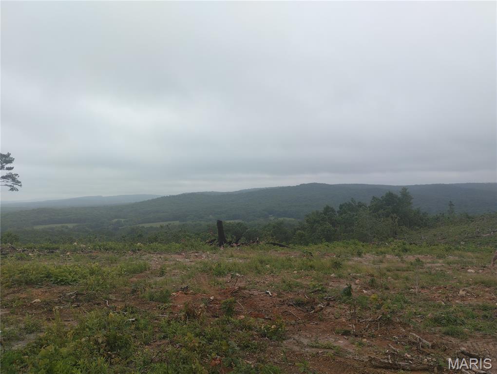 1 Tract 1 Off Hwy O Belleview Missouri home for sale listed at $79,000