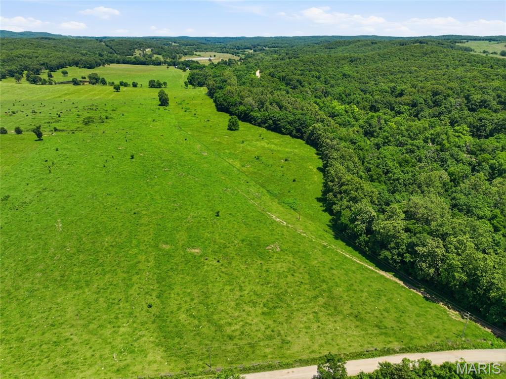 Primary bedroom — 000 M- Pleasant Hill Road Mountain Grove Missouri real estate