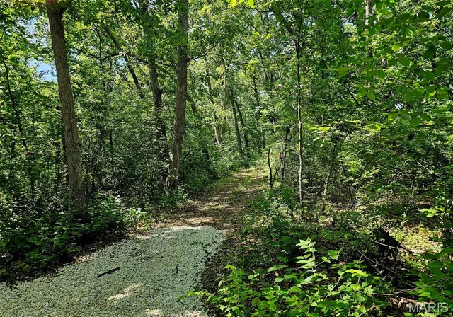 Kitchen — 8+/- ac Walker Road Troy Missouri real estate