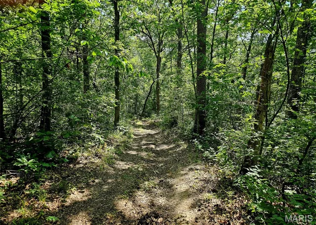 Primary bedroom — 8+/- ac Walker Road Troy Missouri real estate