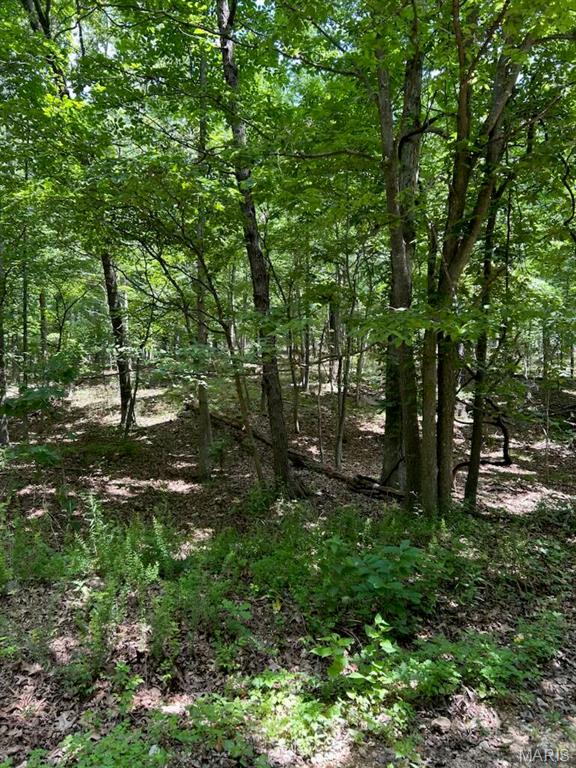 0 Hargrove Road, St Robert MO real estate