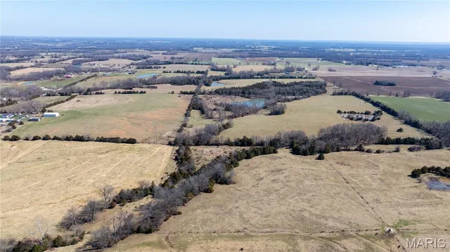 Living room — 0 +/- 69 Acres County Rd 362 New Bloomfield Missouri real estate