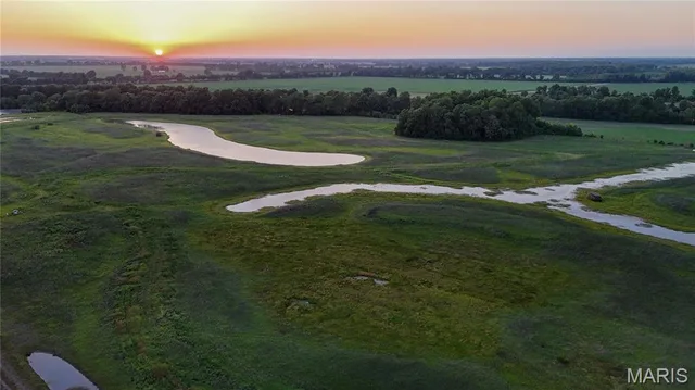 000 County Road 732, New Madrid MO real estate