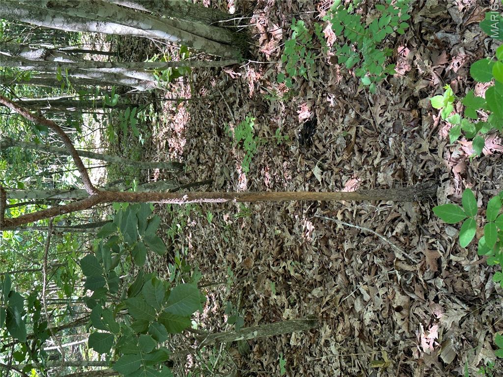 Photo 34