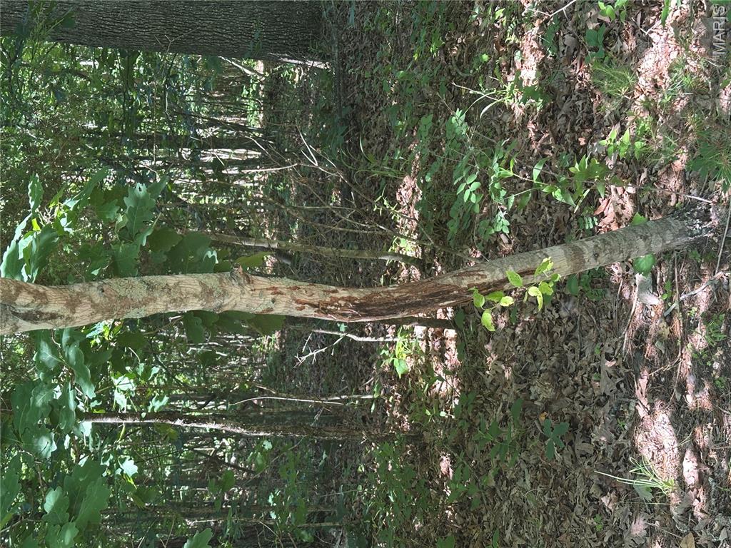 Photo 35