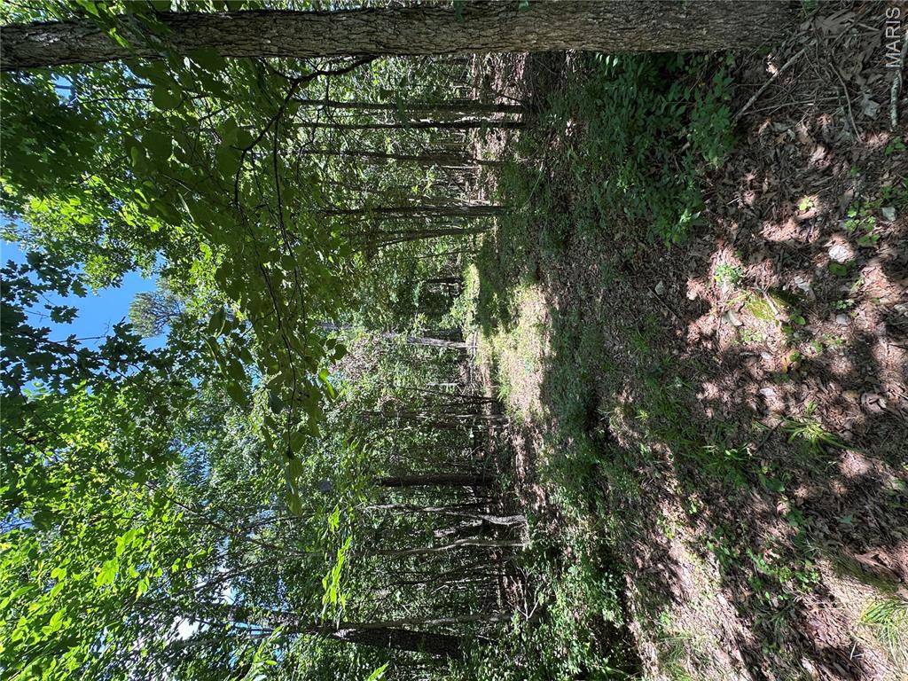 Photo 38
