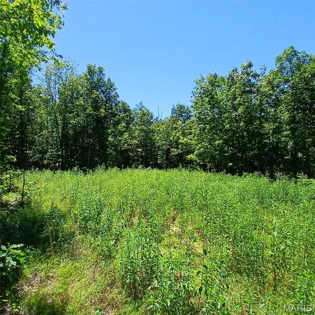 0000000 Easement, Annapolis MO