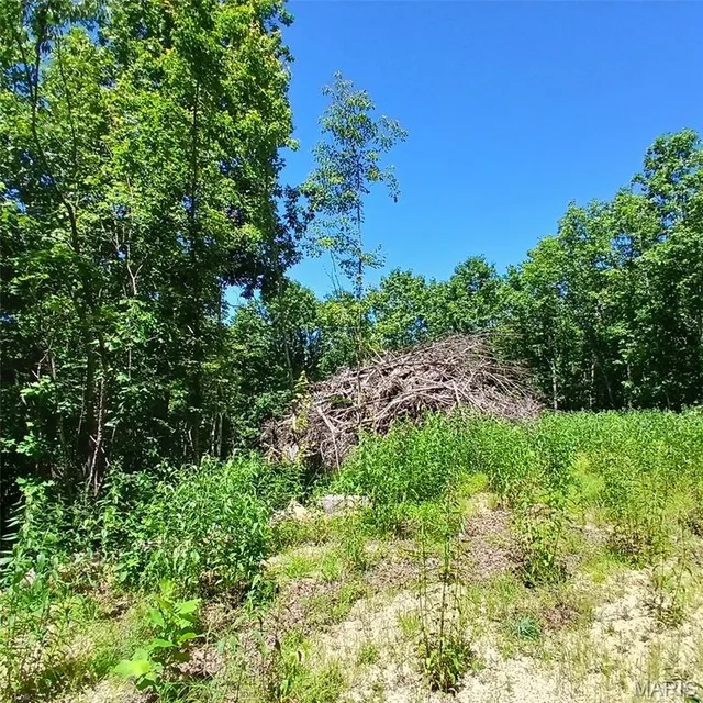 Primary bedroom — 0000000 Easement Annapolis Missouri real estate