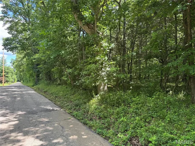 0 Old St Louis Road, Valles Mines MO