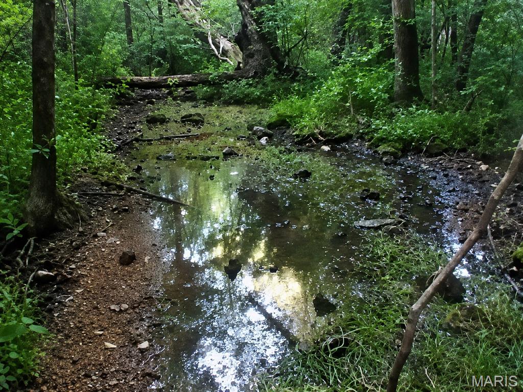 00 County Road 5, Viburnum MO