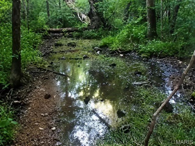 00 County Road 5, Viburnum MO