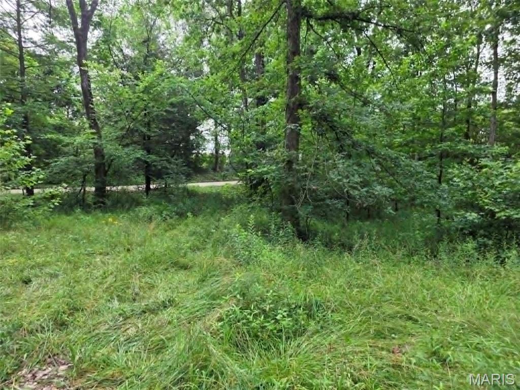 951 County Road 514, Wappapello MO