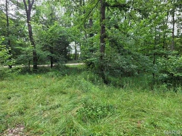 951 County Road 514, Wappapello MO