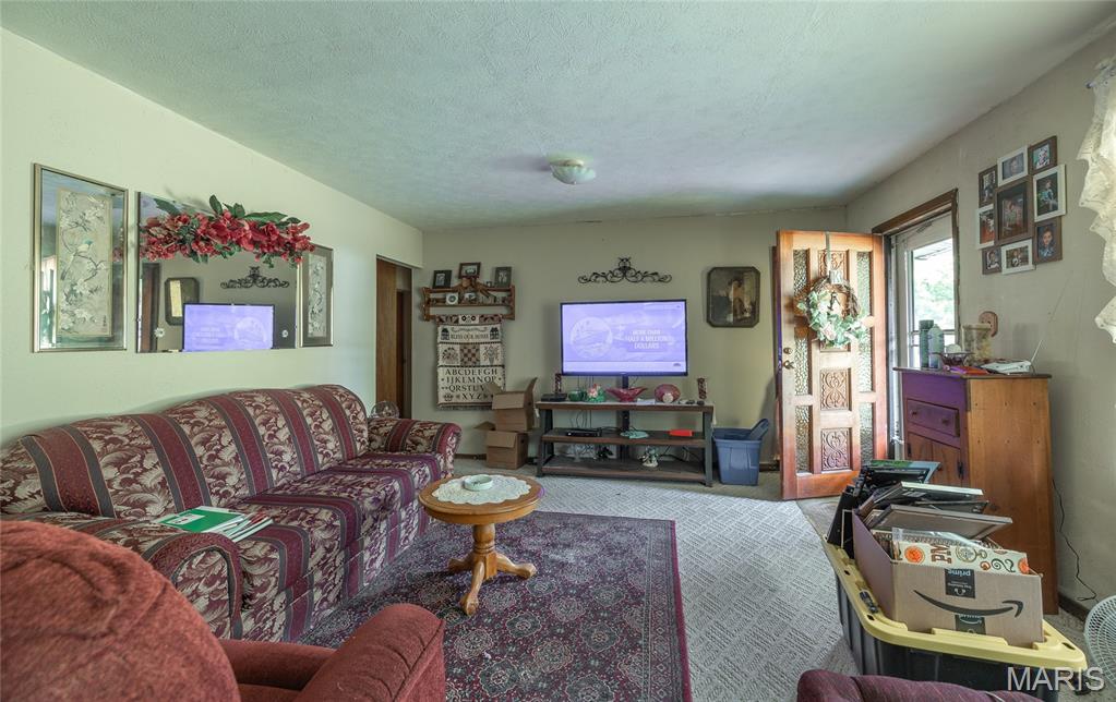 Living room — 12020 Highway 17 Crocker Missouri real estate