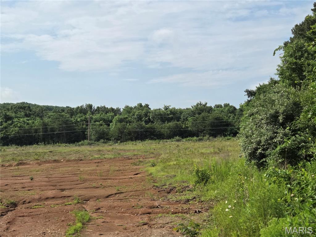 Primary bedroom — 12.05 Acres Hwy O Rolla Missouri real estate