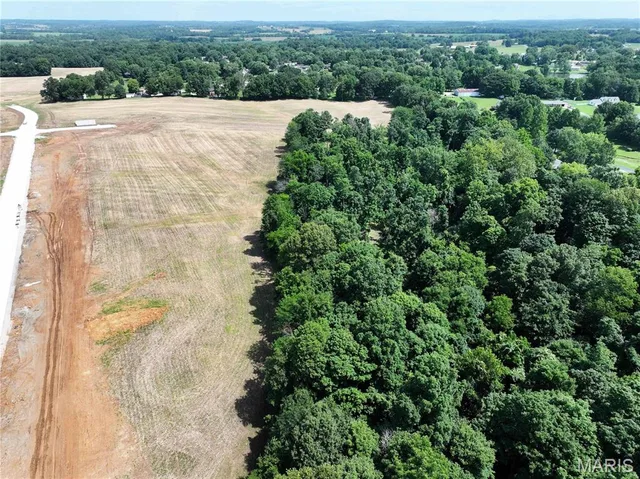 Kitchen — 23.29 Acres State Highway 34 Jackson Missouri real estate