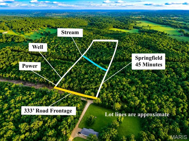 003 M- Cantrell Road, Mansfield MO real estate