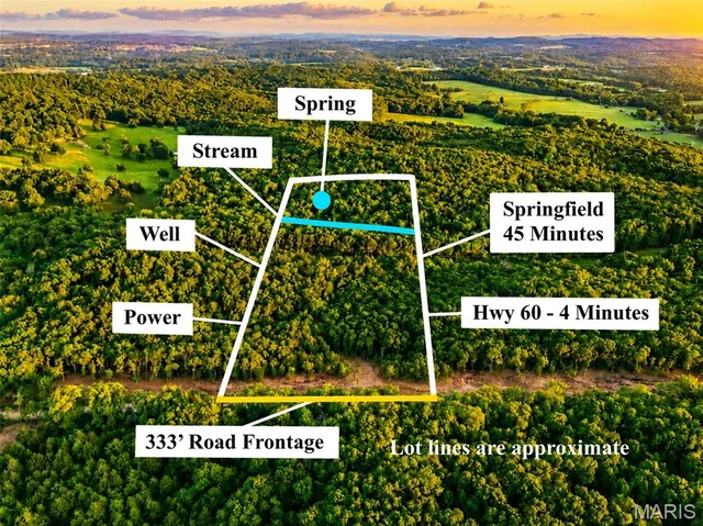 005 M- Cantrell Road, Mansfield MO real estate