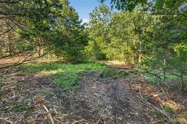 Primary bedroom — 005 M- Cantrell Road Mansfield Missouri real estate
