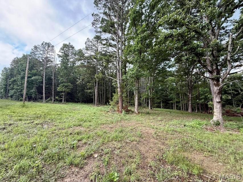 Kitchen — 000 West Highway 32 Licking Missouri real estate
