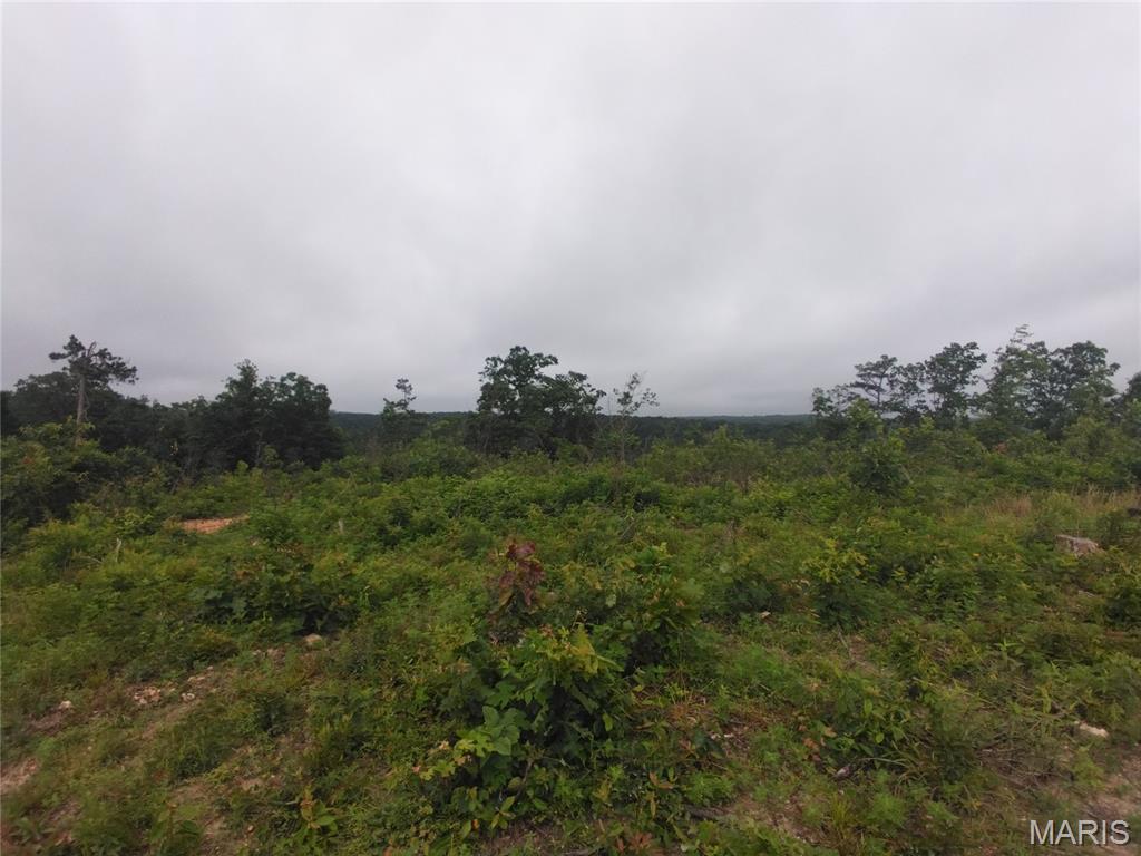 2 Off Hwy O Belleview Missouri home for sale listed at $73,200