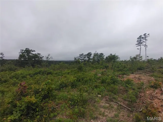 Primary bedroom — 2 Off Hwy O Belleview Missouri real estate