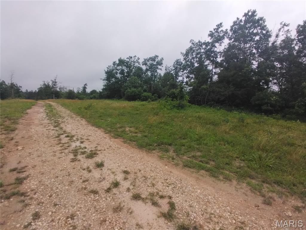 9 Tract 9 Off Highway O Belleview Missouri home for sale listed at $49,950