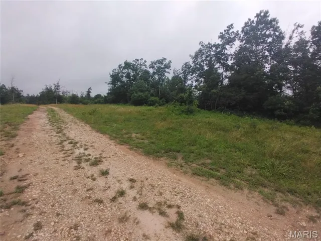 9 Tract 9 Off Highway O, Belleview MO