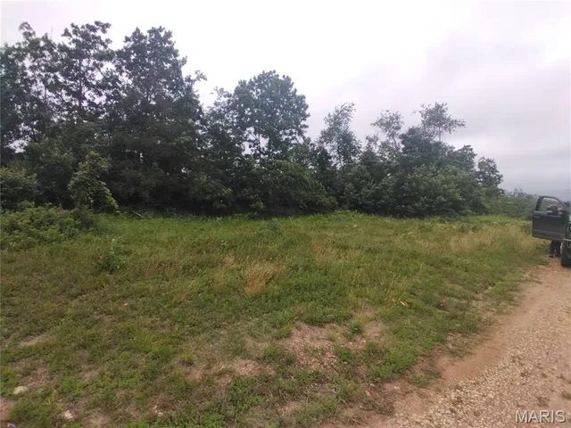 Front exterior — 9 Tract 9 Off Highway O Belleview Missouri real estate