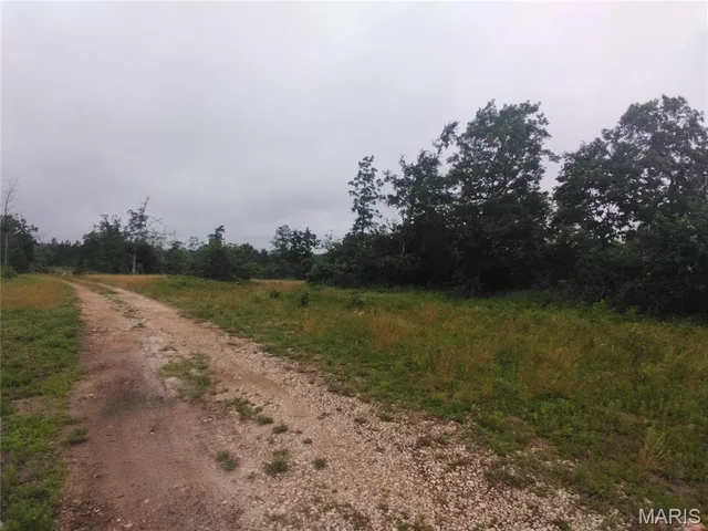 Kitchen — 9 Tract 9 Off Highway O Belleview Missouri real estate