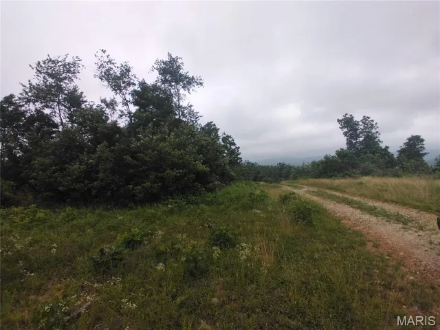 Primary bedroom — 9 Tract 9 Off Highway O Belleview Missouri real estate