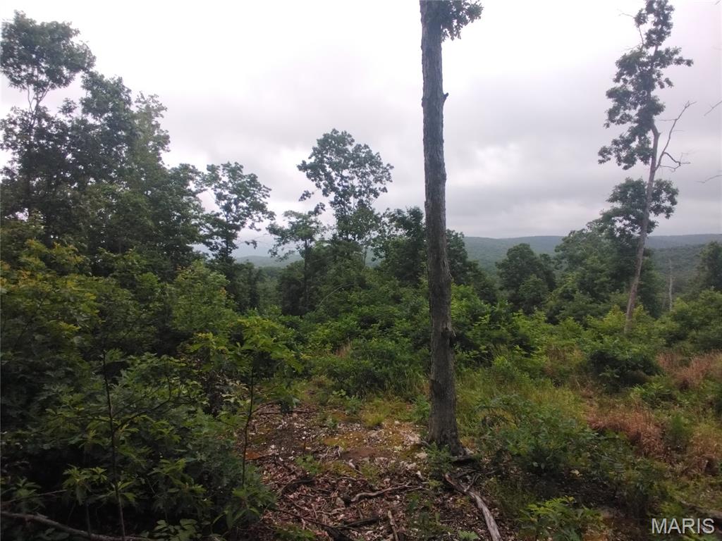 5 Tract 5 Off Hwy O Belleview Missouri home for sale listed at $62,000