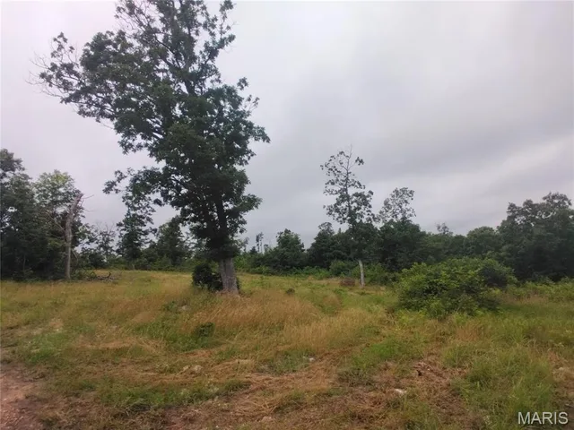 Kitchen — 5 Tract 5 Off Hwy O Belleview Missouri real estate