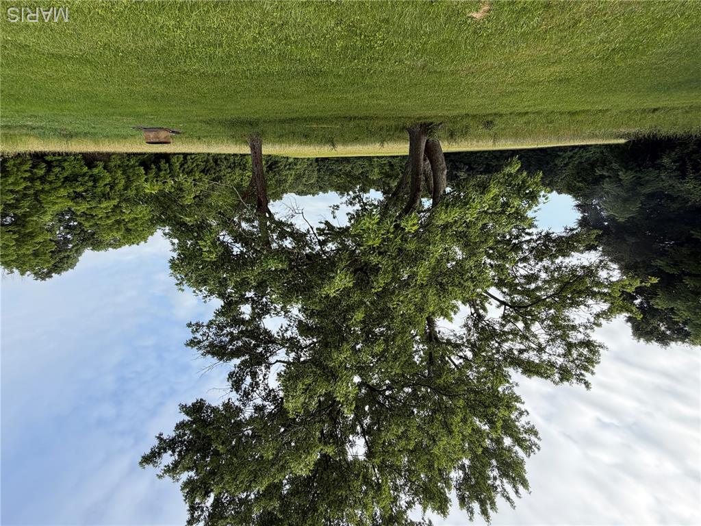 Photo 50
