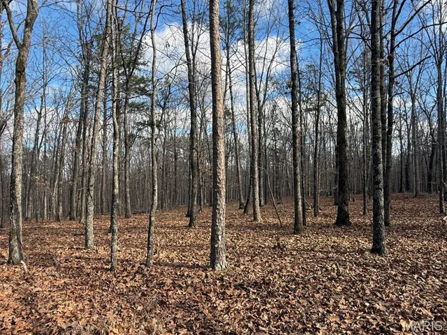 Kitchen — 25 Acres Lowndes Missouri real estate