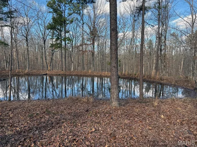 Primary bedroom — 25 Acres Lowndes Missouri real estate