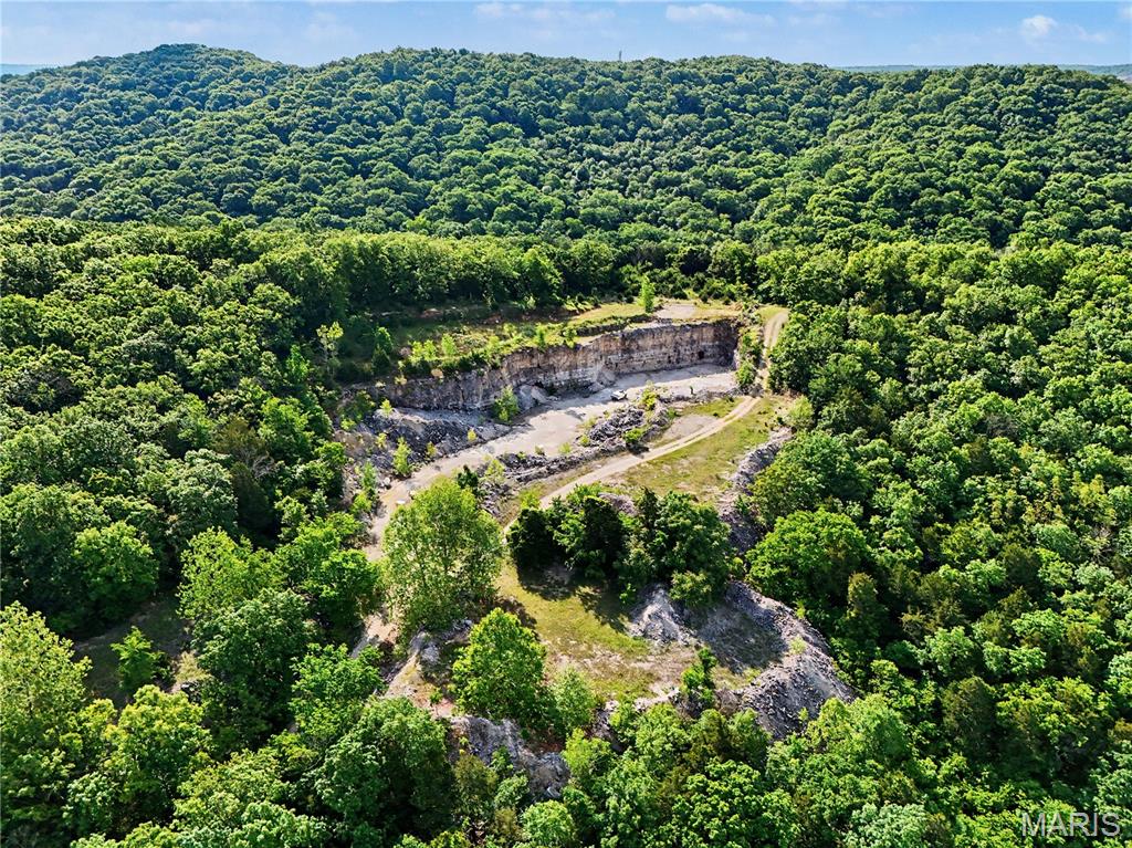 640 Johnson Road Festus Missouri home for sale listed at $2,800,000