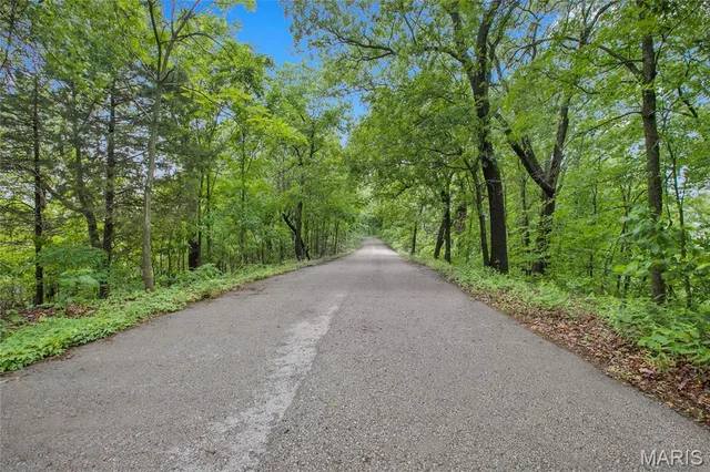 Primary bedroom — 9 acres Clermont Drive Festus Missouri real estate