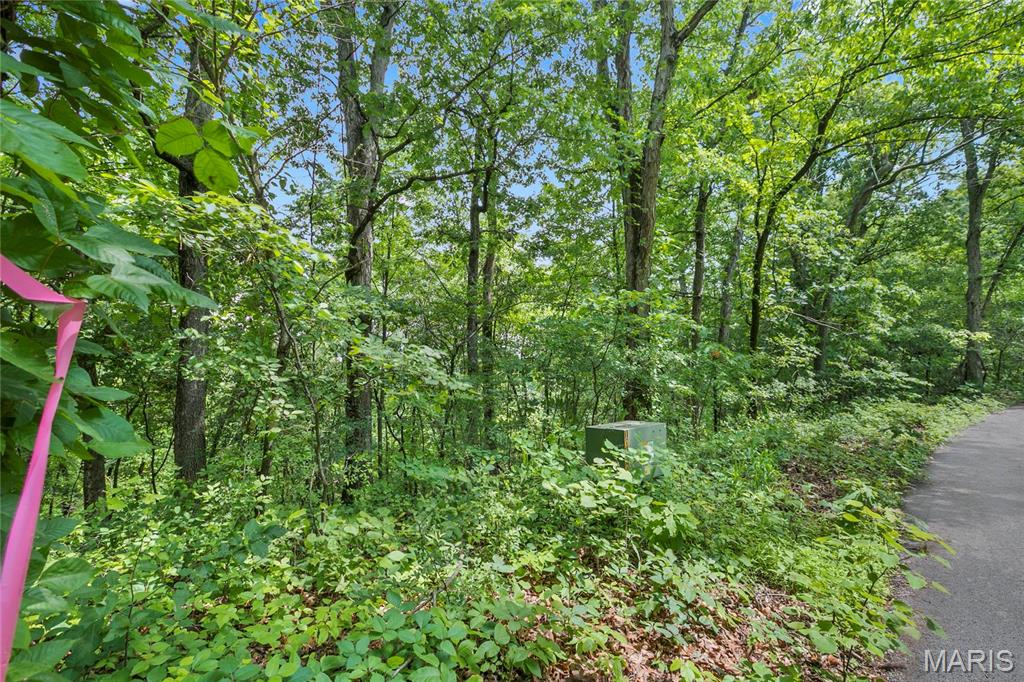 8.5 acres Clermont Drive Festus Missouri home for sale listed at $289,900