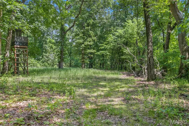 Living room — 6.26 acres Mississippi Queen Court Festus Missouri real estate