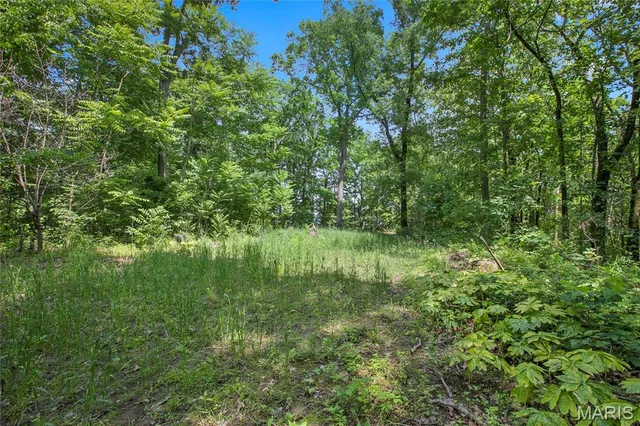 8.75 acres Mississippi Queen Court, Festus MO