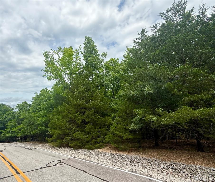TBD Laurel Court Four Seasons Missouri home for sale listed at $7,900